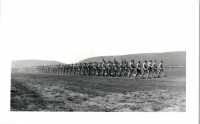 FR0137