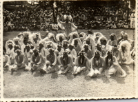 FR0163