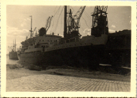 FR0194