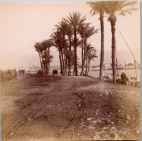 FR0276