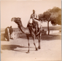 FR0280