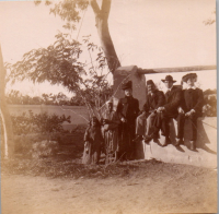 FR0295