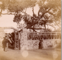 FR0300