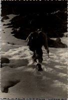 FR0495