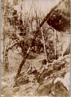 FR0656