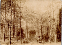 FR0790
