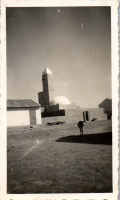FR0831