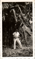 FR0834