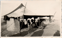 FR0855