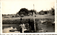 FR0878