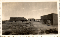 FR0891