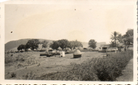 FR0979