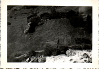 FS0066