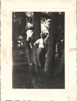 FS00736