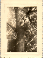 FS00745