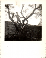 FS00753