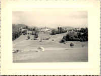 FS0110