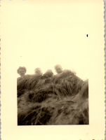 FS0170
