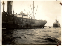 FS0365