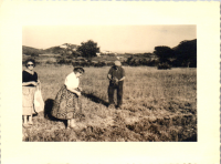 FS0390