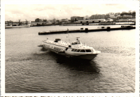 FS0499