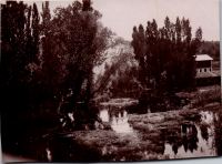 FS0514
