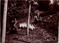 FS0531