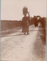 FS0664