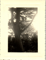 FS0835