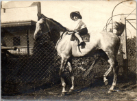 FT0933
