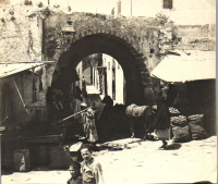 FV0014