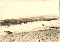 FV0074
