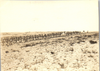 FV0075