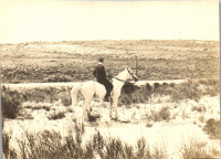 FV0077
