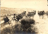 FV0079