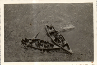 FV0174