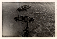 FV0176