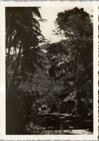 FV0190