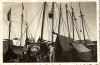 FV0196