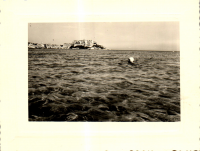 FV0225