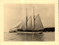 FV0296