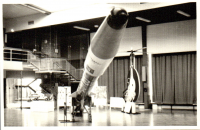 FV0313
