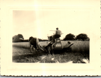 FV0335