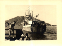 FV0354