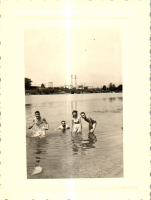 FV0493