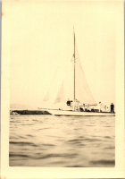 FV0539