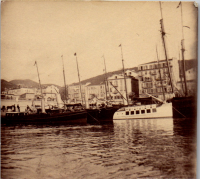 FV0844