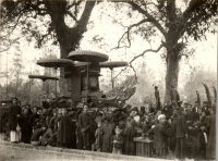 FV0876