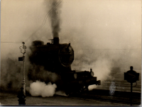 FV0894
