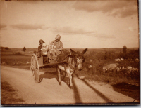 FW0545